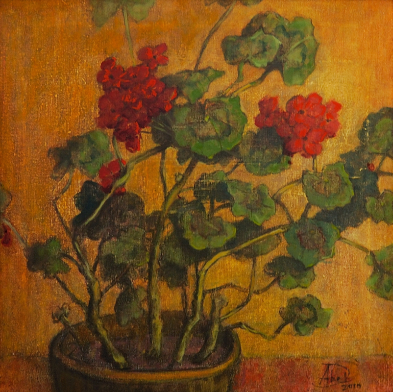 geranium